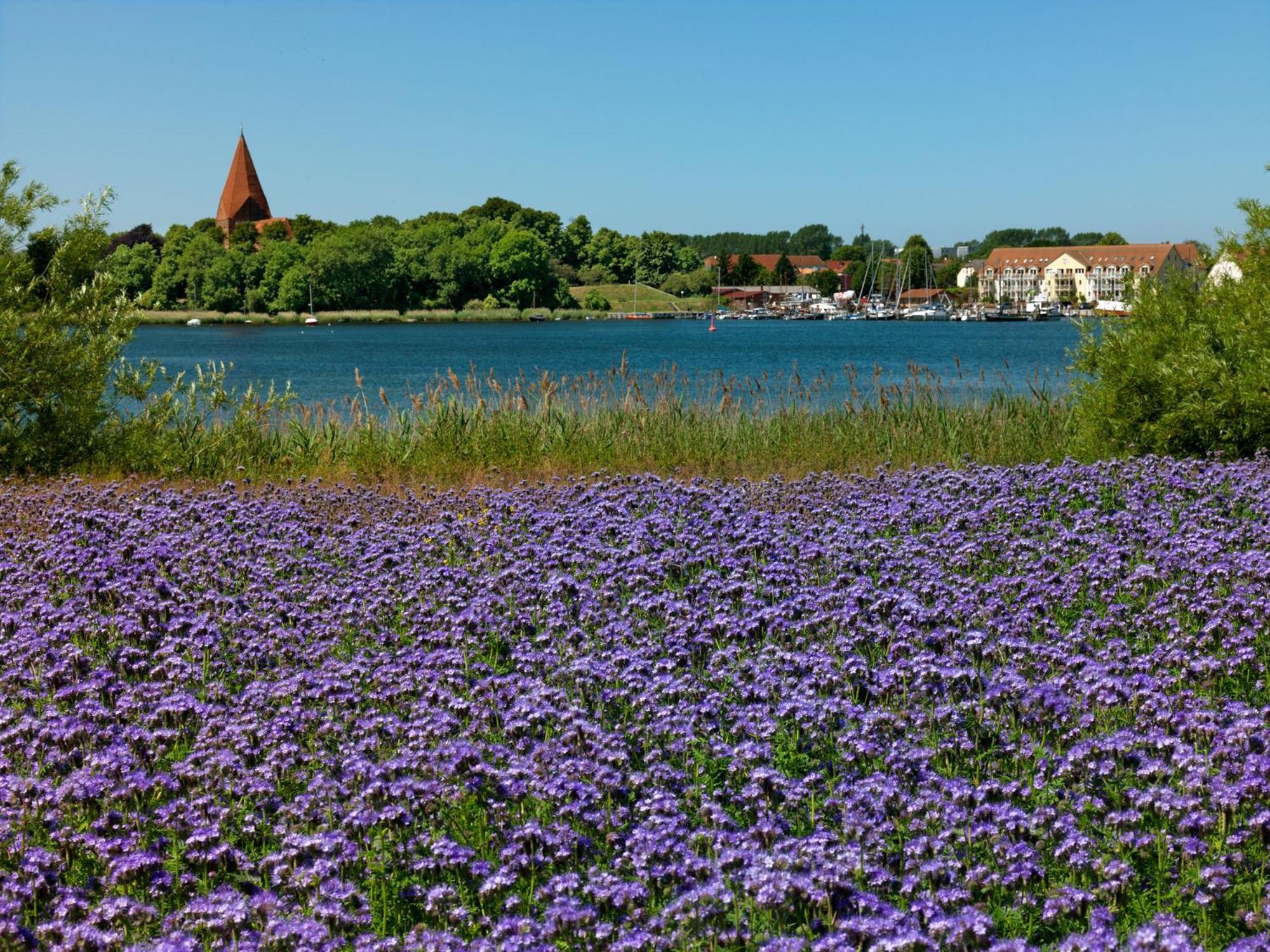 Daenisches Ferienhaus Kaltenhof Eksteriør billede